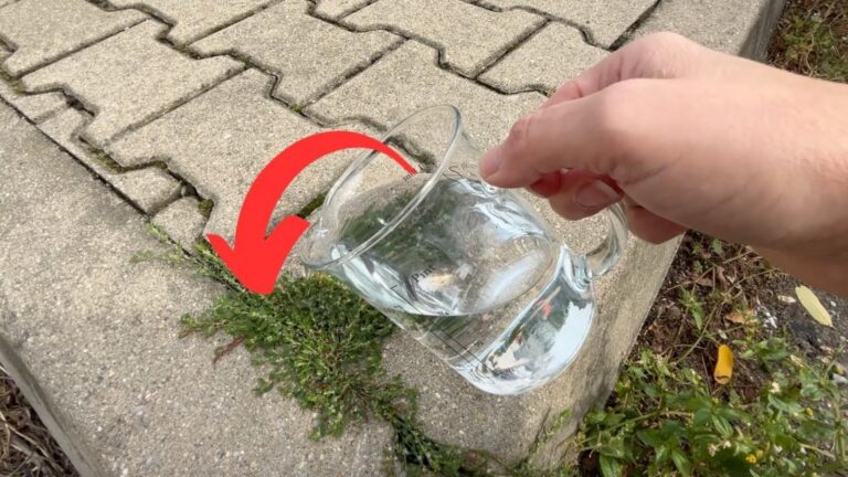3 sposoby na pozbycie się chwastów w Twoim ogrodzie легко i skutecznie