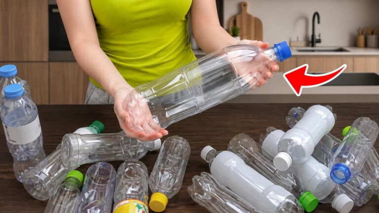 10 genialnych pomysłów na recykling plastikowych butelek, które musisz znać!
